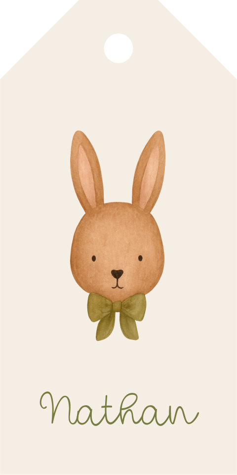 Doopsuiker label rechthoek jongen haas met strikje