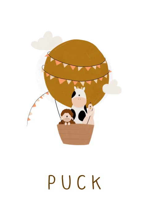 Geboortekaartje meisje luchtballon dieren