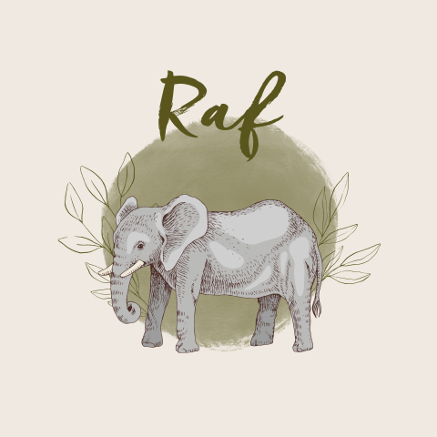 Geboortekaartje olifant blaadjes