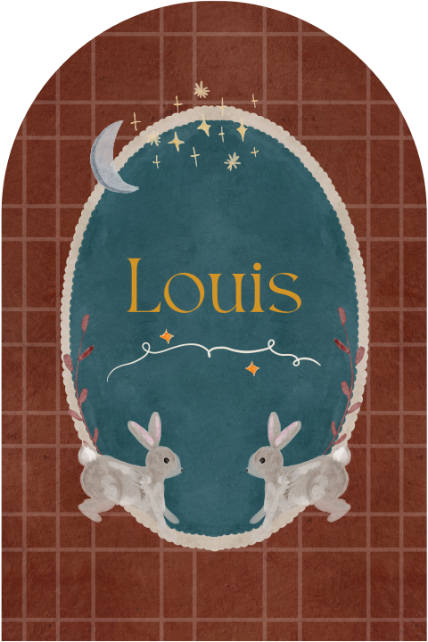 Geboortekaartje jongen konijnen maan sterren