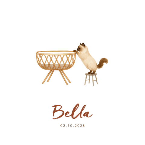 Geboortekaartje kat ragdoll wieg