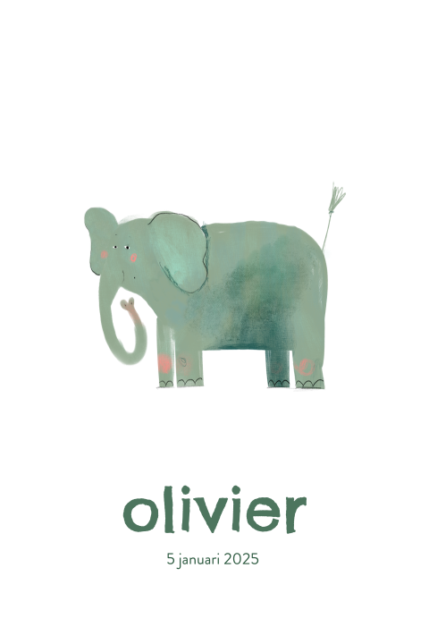 Geboortekaartje dier olifant