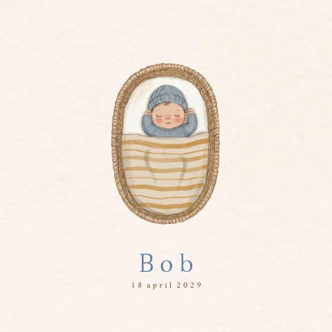 Geboortekaartje jongen baby mozesmandje