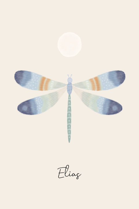 Geboortekaartje jongen libelle