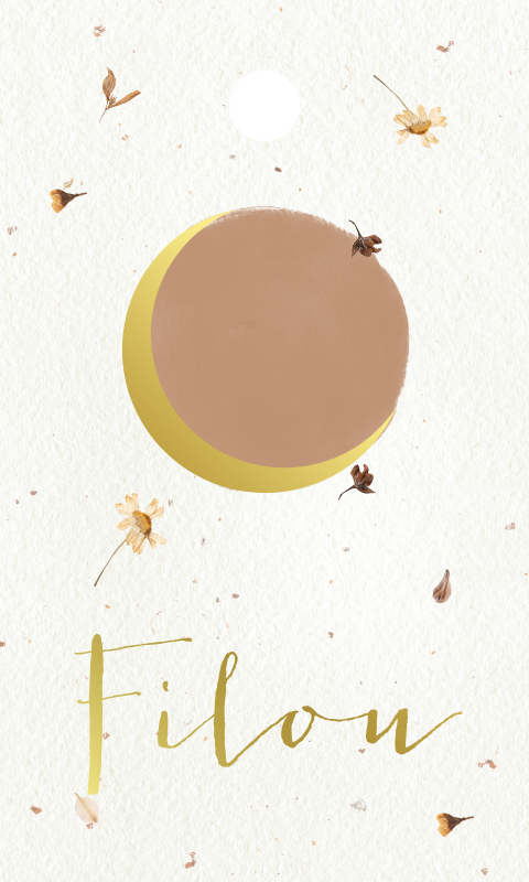 Doopsuiker label rechthoek zon maan droogbloemen