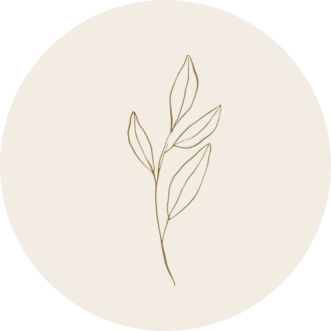Sluitzegel takje beige