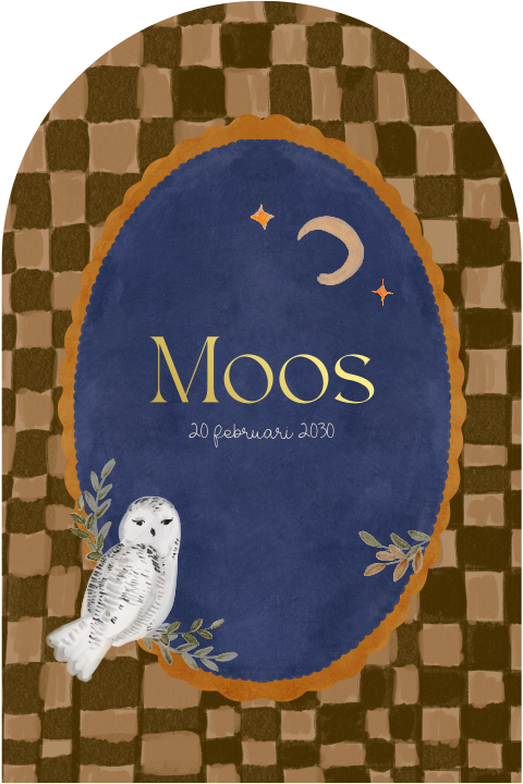 Geboortekaartje jongen uil geblokte achtergrond