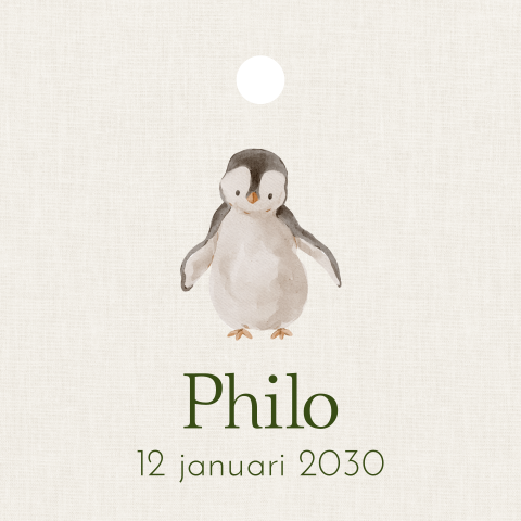 Doopsuiker label vierkant jongen pinguïn 