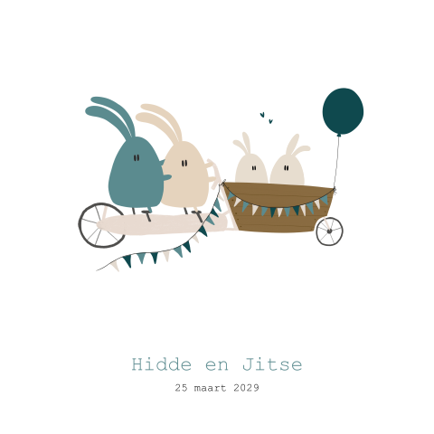 Geboortekaartje tweeling jongens konijnen bakfiets