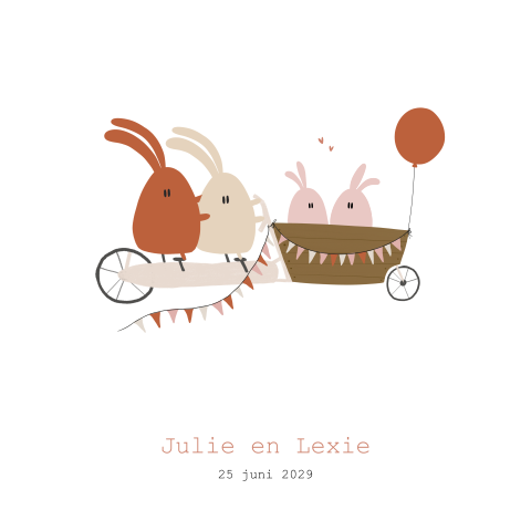 Geboortekaartje tweeling meisjes konijnen bakfiets