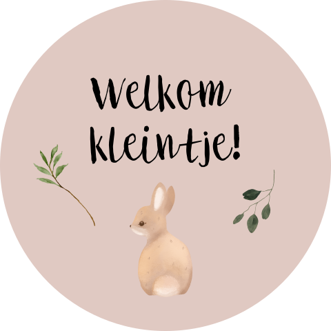 Geboorte sticker konijntje takjes