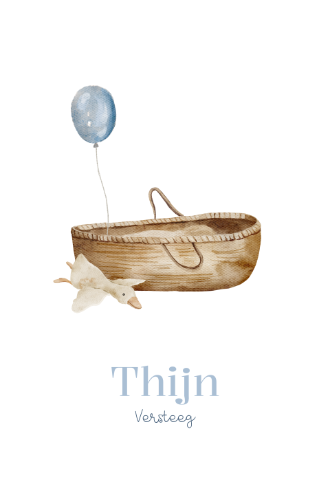 Lief geboortekaartje jongen mozesmandje knuffel gans ballon