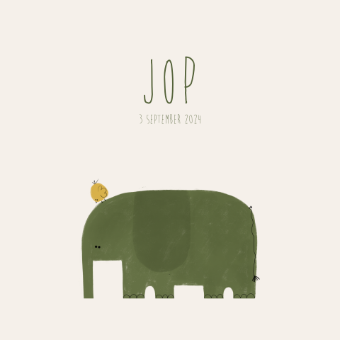 Geboortekaartje olifant vogeltje