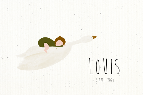 Geboortekaartje illustratie baby op gans