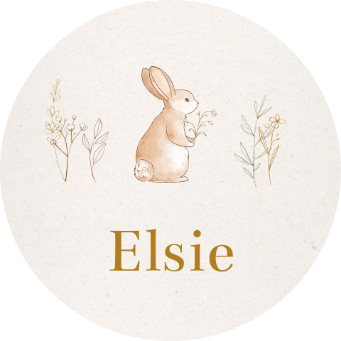 Geboorte sticker konijn bloemen takjes