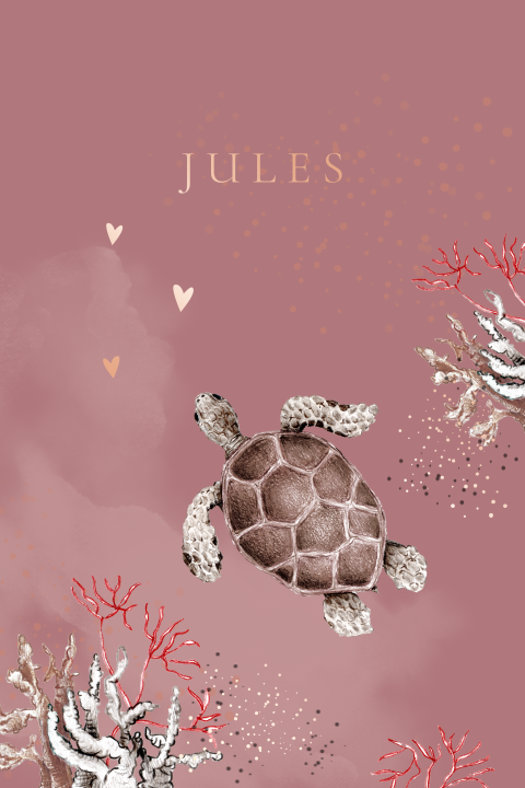 Oudroze geboortekaartje meisje met lieve schildpad