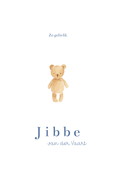 Geboortekaartje jongen teddybeer knuffel