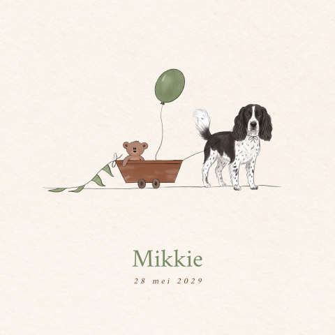 Geboortekaartje jongen hond Engelse Springer Spaniël