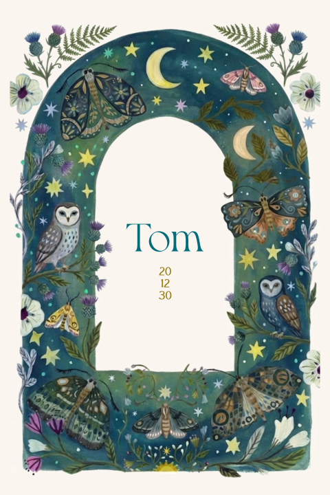 Geboortekaartje jongen uilen motjes