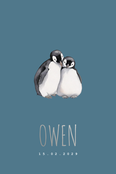 Geboortekaartje twee knuffelende pinguïns