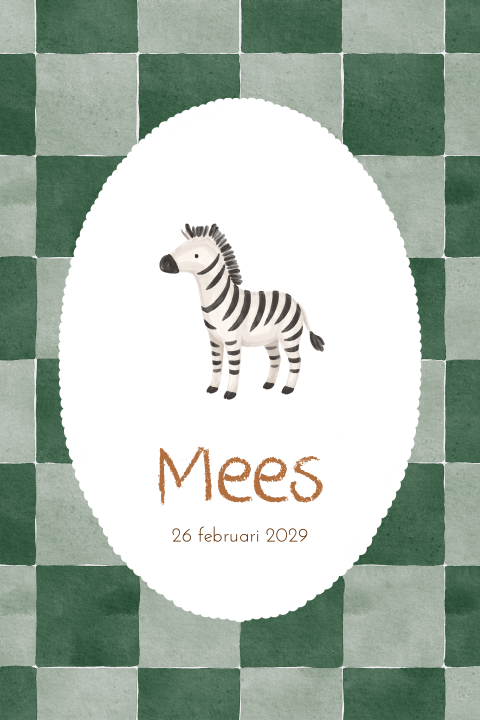 Geboortekaartje jongen zebra geblokt 