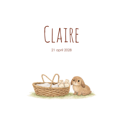Geboortekaartje meisje wiegje bruin konijntje