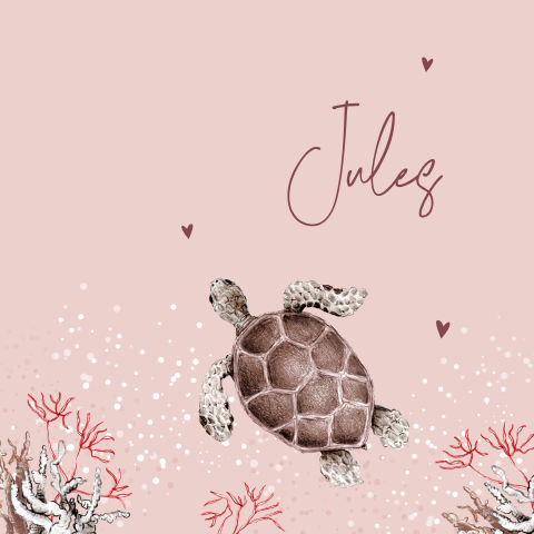 Geboortekaartje meisje met schildpad en onderwaterwereld