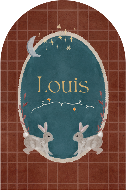 Geboortekaartje jongen konijnen maan sterren