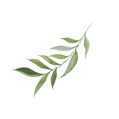 Sluitzegel groen takje