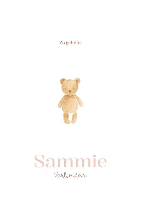 Klassiek geboortekaartje meisje teddybeer knuffel
