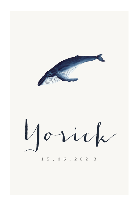Geboortekaartje blauwe walvis