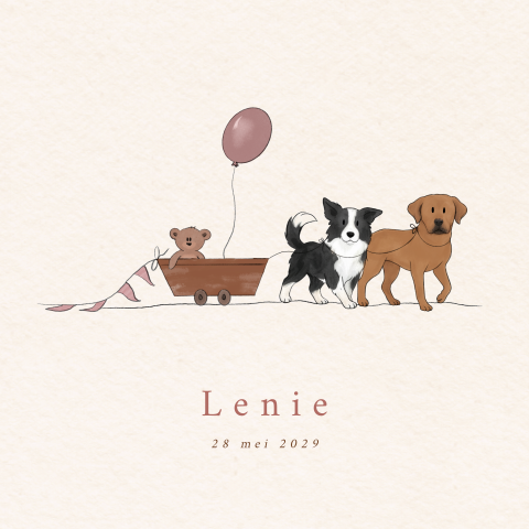 Geboortekaartje meisje bolderkar border collie labrador