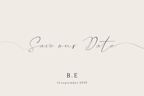 Save the Date kaart minimalistisch siersels