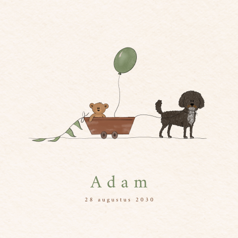 Geboortekaartje jongen hond mini labradoodle zwart