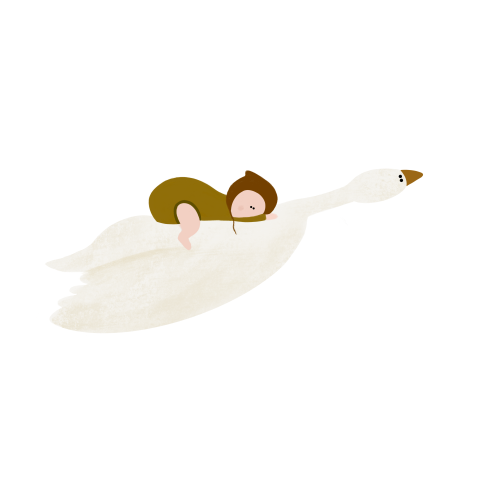 Sluitsticker baby op gans
