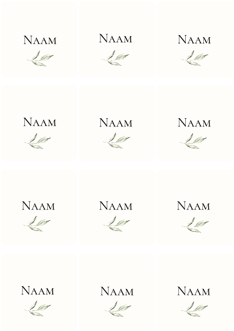 Naamkaartjes bruiloft vierkant mediterraans olijftak