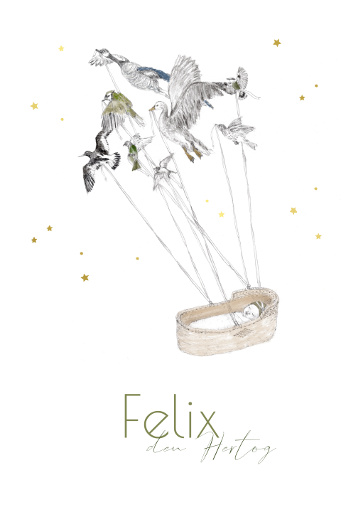 Geboortekaartje illustratie mozesmandje vogels jongen