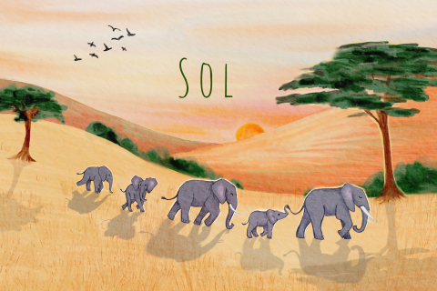 Poster kinderkamer olifanten familie Savanne Afrika