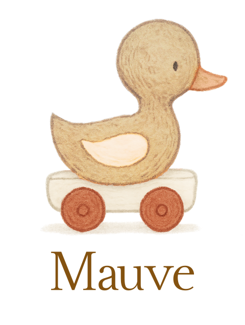 Geboortebord tuinbord eendje