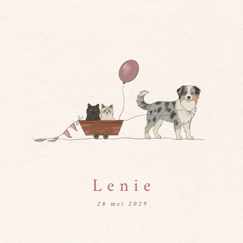 Geboortekaartje meisje hond Australian Shepherd 2 katten