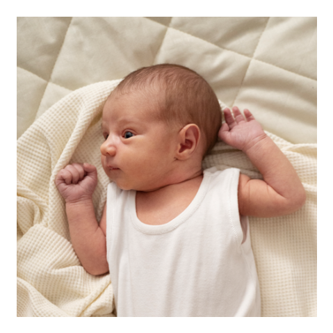 Fotolabels geboortekaartje vierkant