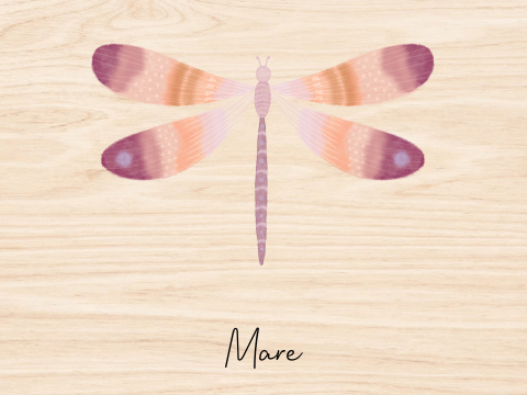 Memorybox hout meisje libelle