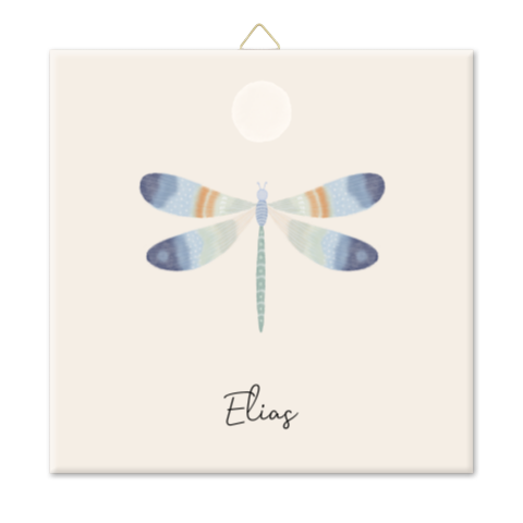 Geboortetegel jongen libelle maan