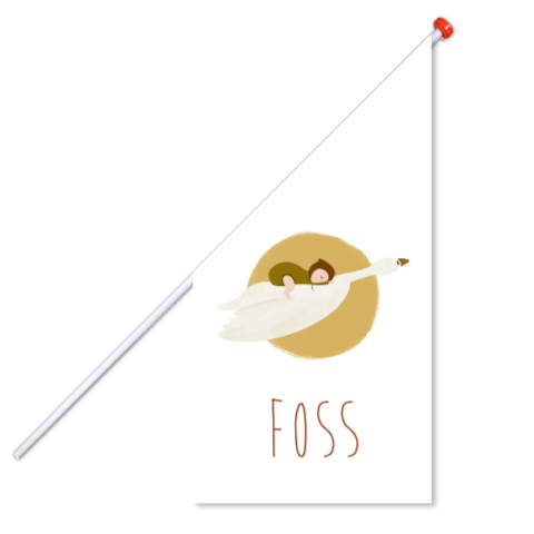 Geboortevlag baby vliegende gans
