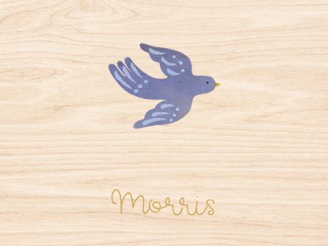 Memorybox hout jongen vogels zon