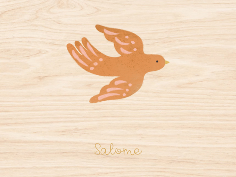 Memorybox hout meisje vogels zon