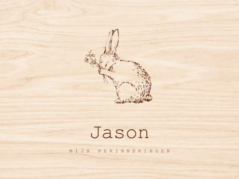 Memorybox hout geboorte konijntje lijntekening