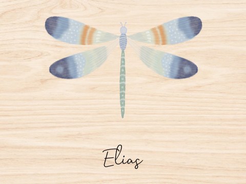 Memorybox hout jongen libelle