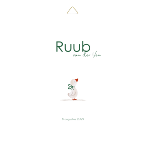 Geboortetegel jongen kleine gans