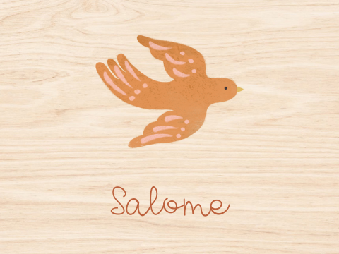 Memorybox hout meisje vogels zon